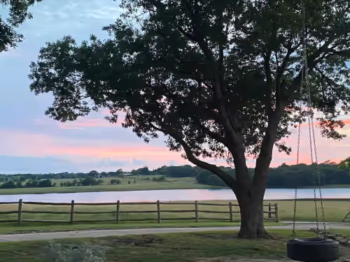 The Rove at L5 | wander and stay