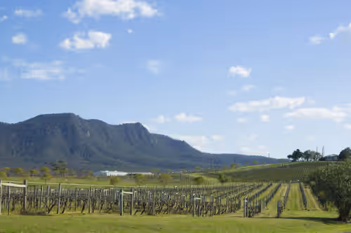 Property grounds at Willow Tree Estate