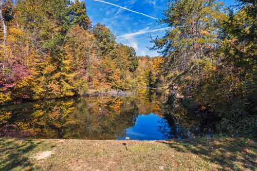 Private lake on the property BYOP (bring your own pole) at Private Lake- Amazing Views -2 Acres