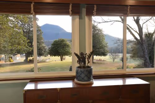 WE ARE OPEN! 135 Acre Multi-Home Creekside Estate. Pets and Events are Welcome!