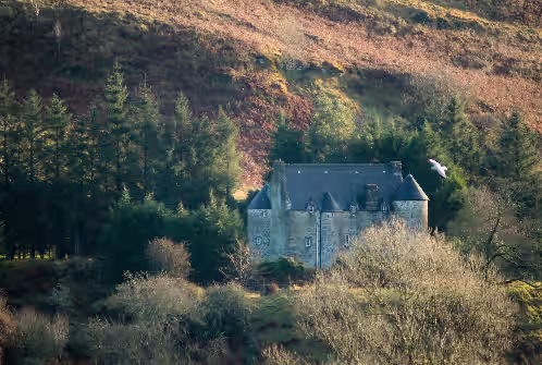 Multi-Awarded Castle Nestled in Historic Glen