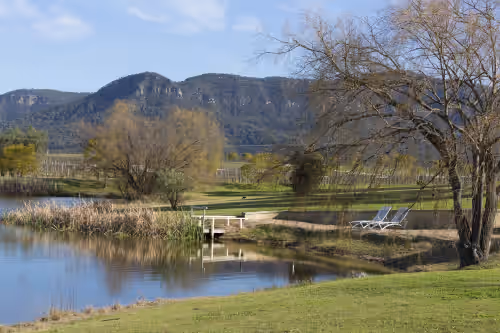 Miscellaneous at Willow Tree Estate