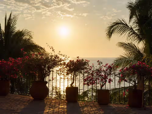 Property grounds at Villa de Los Leones