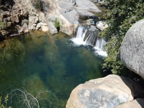 Redwood Ranch at Paradise, photo 4