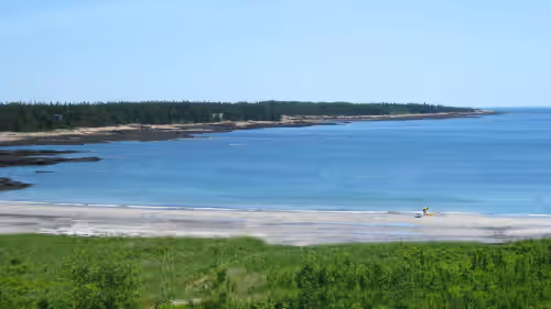 1820's Home on 200 acres w/ Sand Beach 5 mins from Acadia Nat'l Park at Schoodic