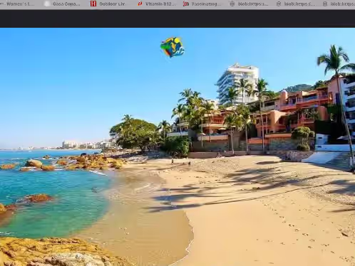 Villa de Los Leones, photo 4