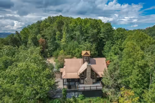 The Vieux - View of Mt. LeConte, firepit, Pickle Ball, fireplace, firepit