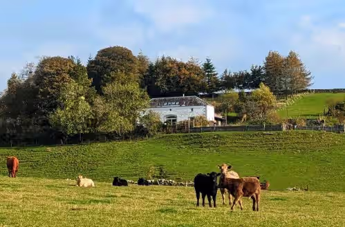 Durhamhill Coach House - llamas, games room/mini cinema, sidecar & fun