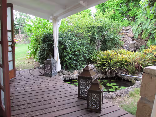 Lily Pond at King House St. Croix