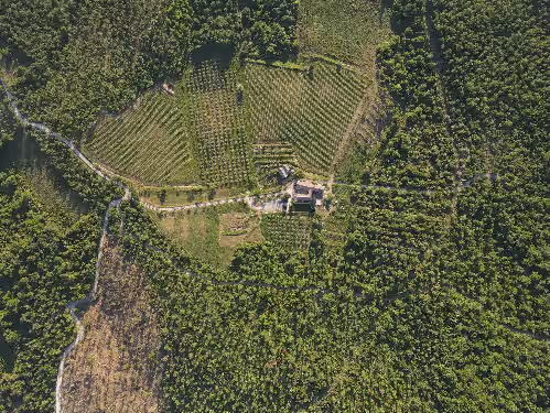 Aerial view at Exclusive Tuscan Winery Escape: Charming Villa with Pool & Breathtaking Views