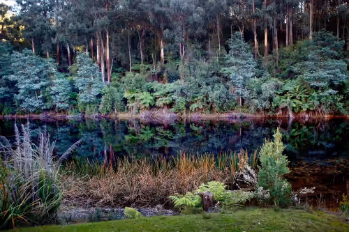 Miscellaneous at Hazeldene Yarra Valley