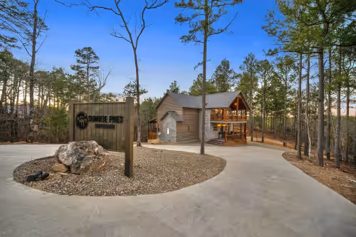 Private 1.5 acre rustic cabin bordering the National Forest, full of luxury!
