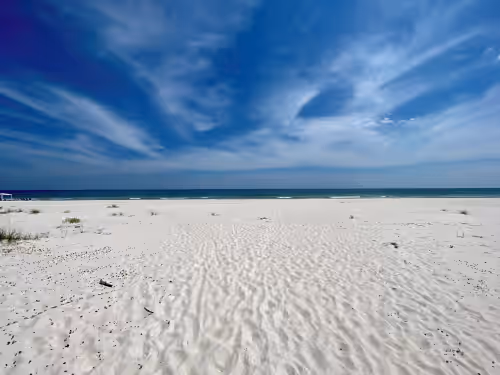 New Coastal Modern Home, 9BR/8.5 BA, Pool, Steps From the Beach, Sleeps 28