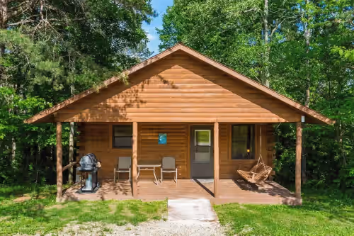 Whispering Pine: Cozy Cabin with Hot Tub & Views