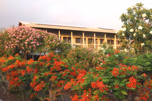 Kepharts' Ocean-view Hale: A Home Away from Home