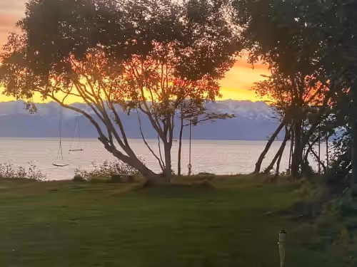 Property grounds at Kachemak Sunrise Ocean House