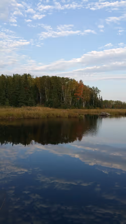5 Unique Cabins And 2 Houses For A Large Group, Family Reunion, Or Wedding