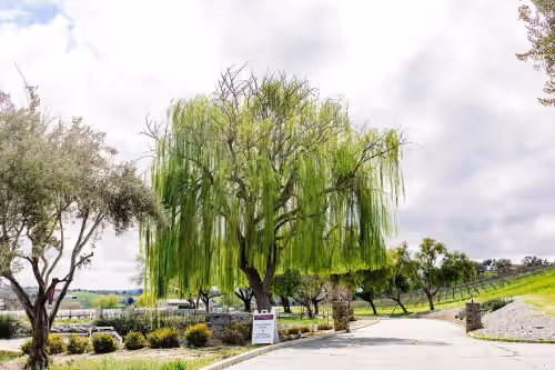 Manor at Santellan Vineyards, photo 4